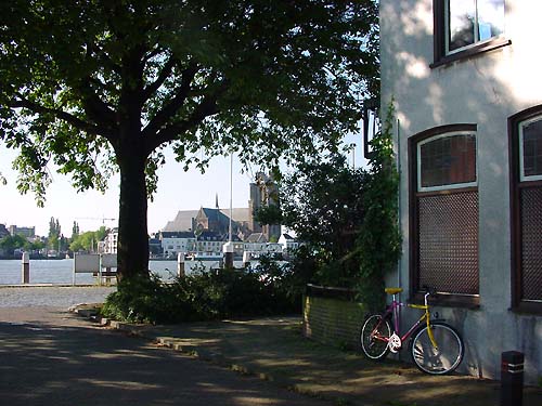 Zomerlust met de kastanjebomen die de Nieuwstraat flankeren.